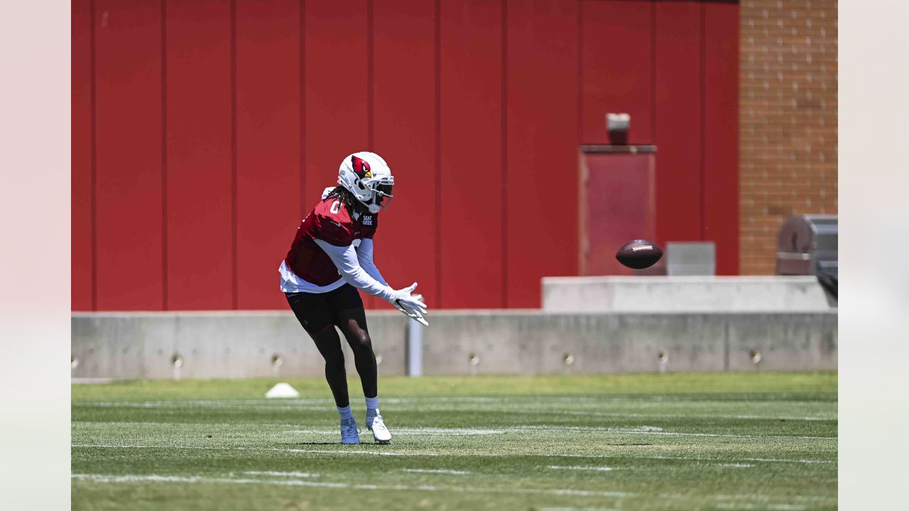 Arizona Cardinals build chemistry, learn playbook as 2023 OTAs conclude.