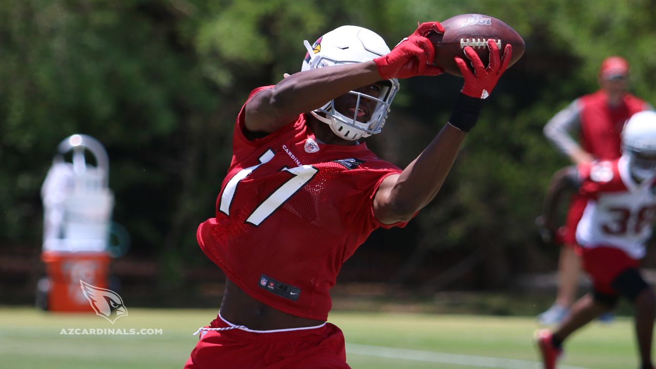 Cardinals Cut 14 Players Including WR KeeSean Johnson 