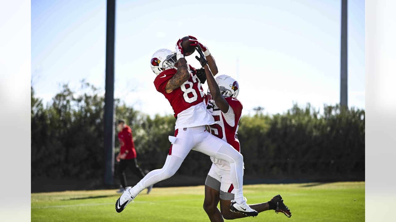 Arizona Cardinals tight end Zach Ertz (86) waits to receive a pass during  an NFL football game against the Carolina Panthers, Sunday, Oct. 2, 2022,  in Charlotte, N.C. (AP Photo/Brian Westerholt Stock