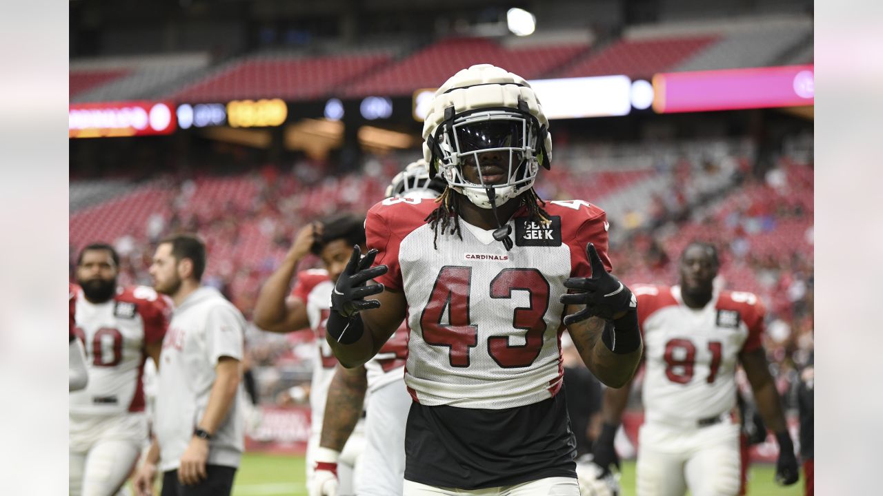 Arizona Cardinals linebacker Zaven Collins (25) in action during the second  half of an NFL football game against the Minnesota Vikings, Sunday, Oct.  30, 2022 in Minneapolis. (AP Photo/Stacy Bengs Stock Photo - Alamy