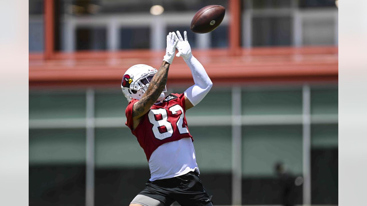 Arizona Cardinals wide receiver Greg Dortch runs with the football during  OTA practice at the NFL football team's training facility Thursday, June 1,  2023, in Tempe, Ariz. (AP Photo/Ross D. Franklin Stock