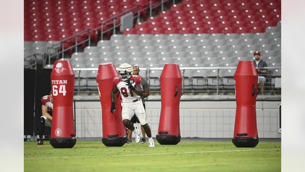 Cardinals 2022 training camp battle: Defensive Line - Revenge of the Birds