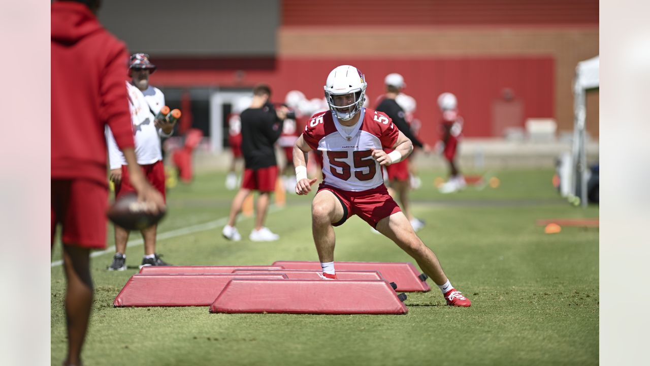 Depth at inside linebacker goes on and on for the Arizona Cardinals