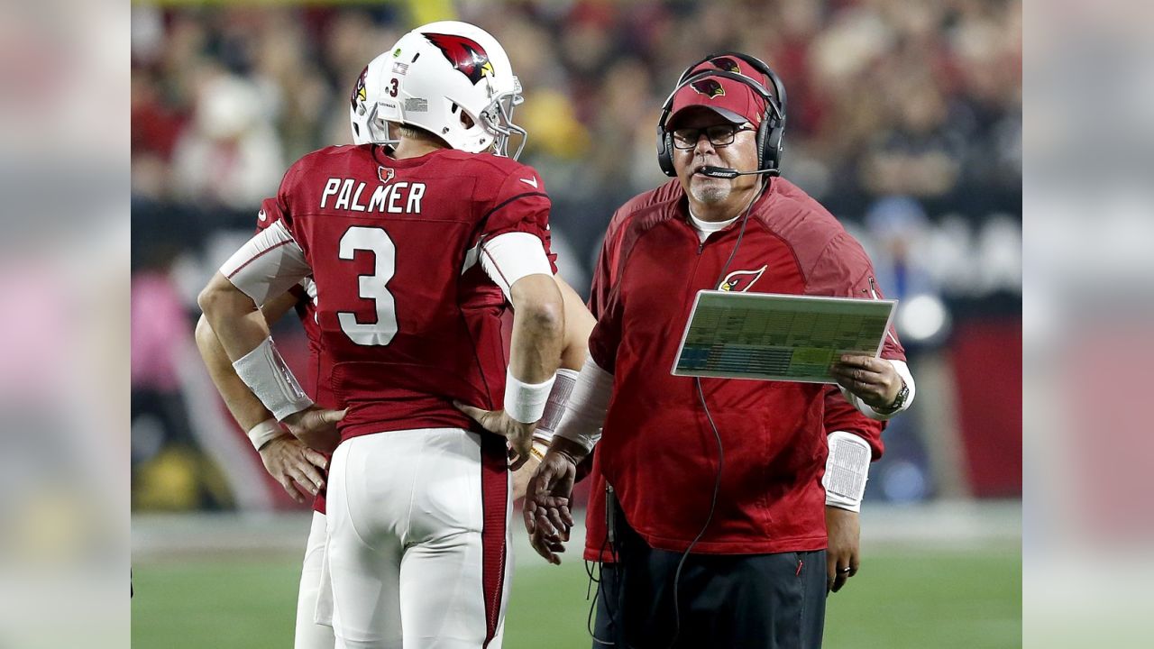 Arizona Cardinals on X: On this day in 2016, @LarryFitzgerald put the  finishing touches on one of the wildest games in playoff history. #tbt   / X