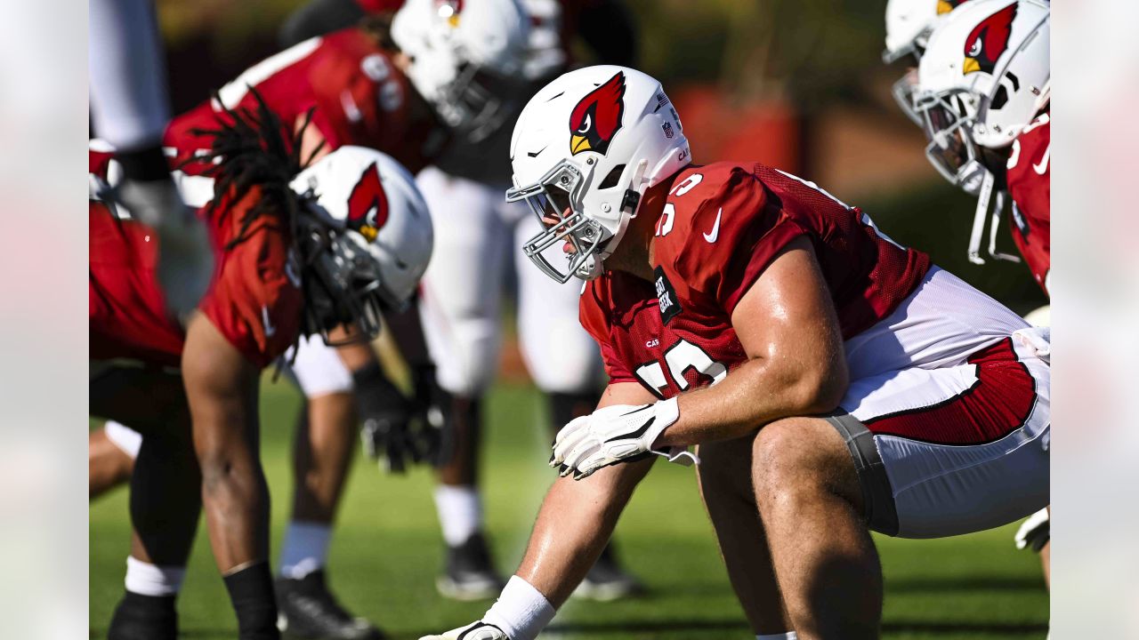 Cardinals: Zach Ertz drops truth bomb on recovery from torn ACL