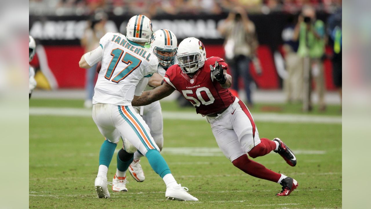 Cardinals VS Dolphins - Week 9 : r/AZCardinals