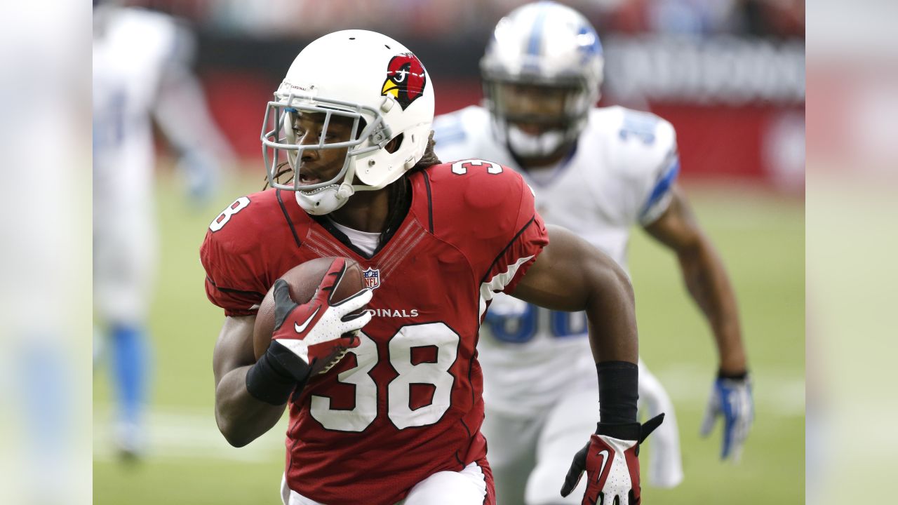 Tampa Bay Buccaneers add former Arizona Cardinals RB Andre Ellington 