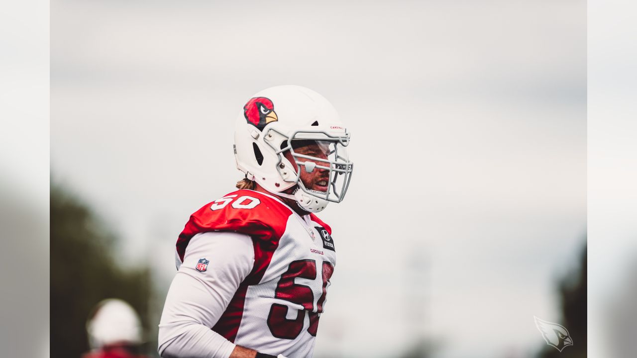 Zane Gonzalez sits alone on the Arizona Cardinals depth chart at kicker -  Revenge of the Birds