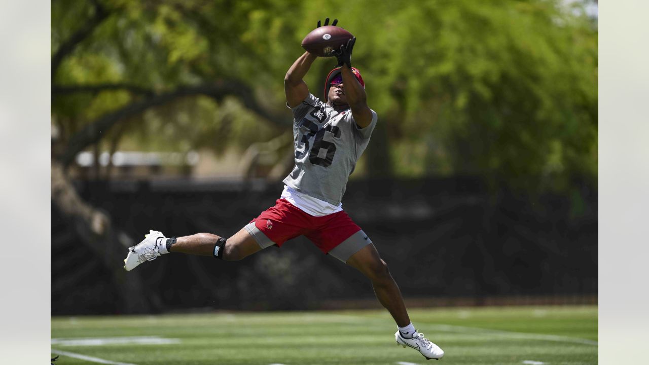 Arizona Cardinals defensive JuJu Hughes (36), Kris Boyd (29) and