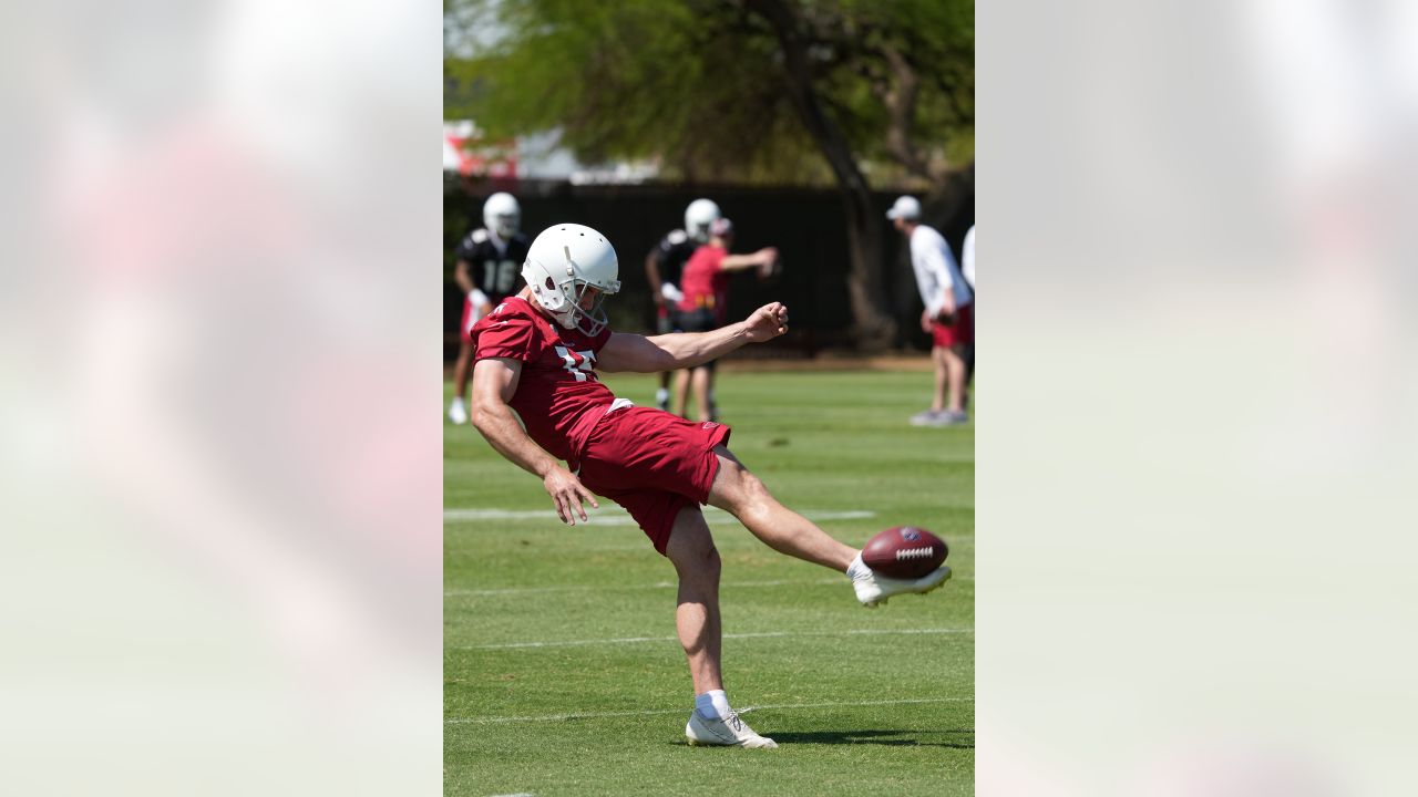 Arizona Cardinals cut punter Nolan Cooney - Revenge of the Birds