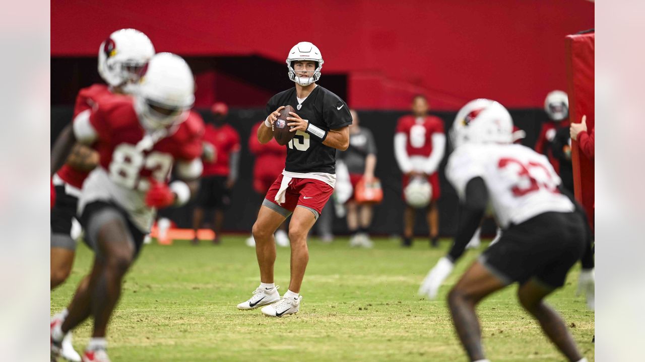 Region/state roundup: Ex-ODU receiver Zach Pascal joins Arizona Cardinals –  The Virginian-Pilot