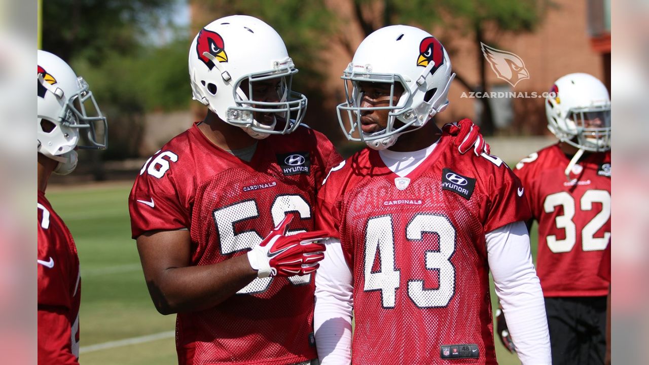 Deone Bucannon, Haason Reddick Ready For Nickel Linebacker Challenge