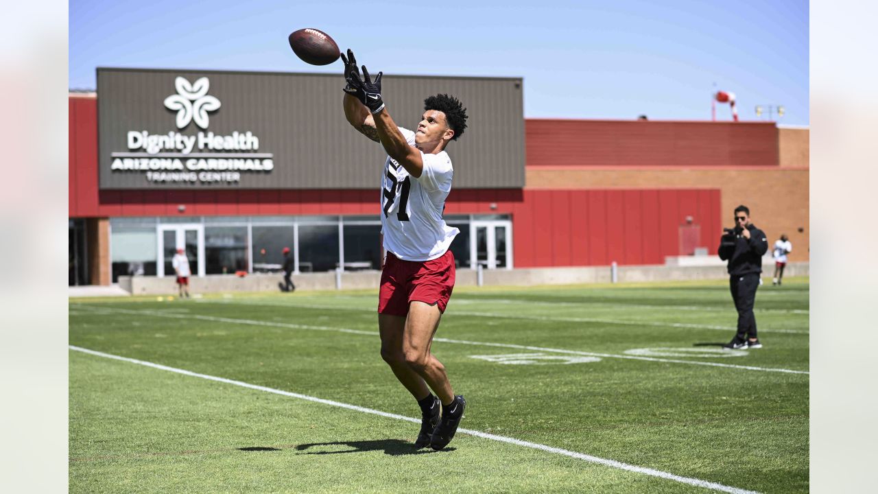 Arizona Cardinals throw quarterback competition wide open with unexpected  trade - Mirror Online