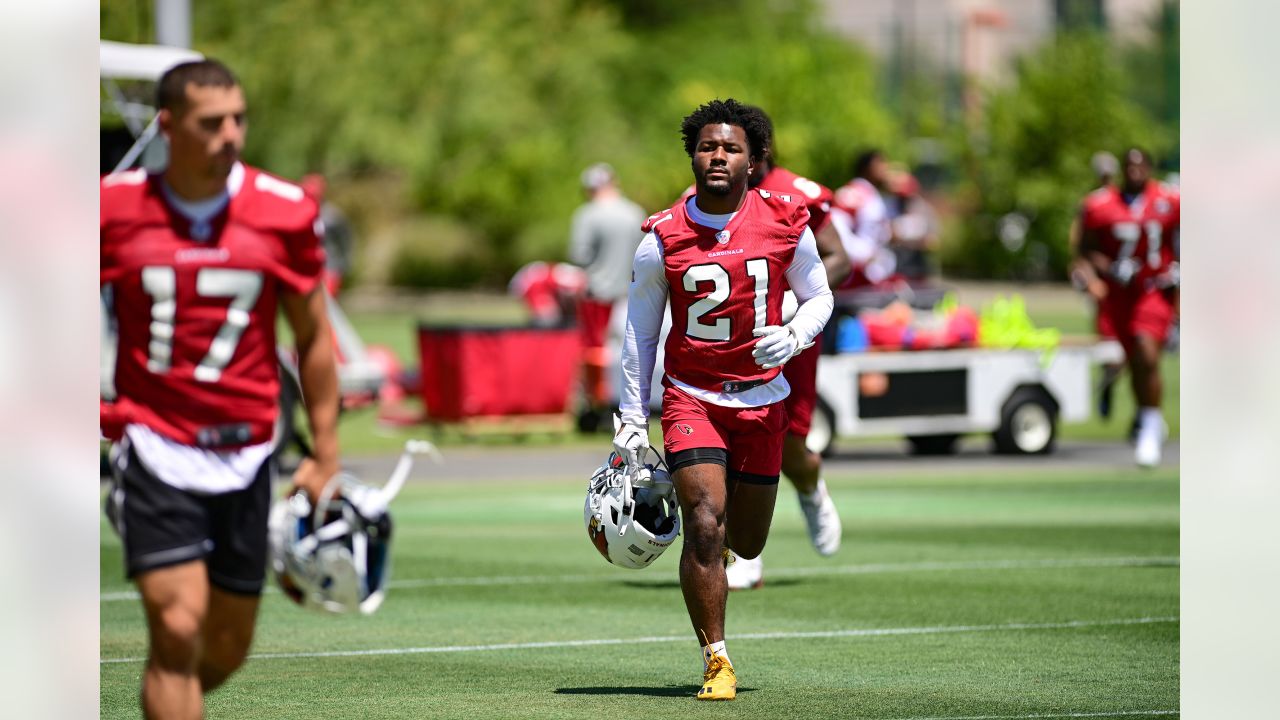 Cardinals Position Overview 2022: Running Back