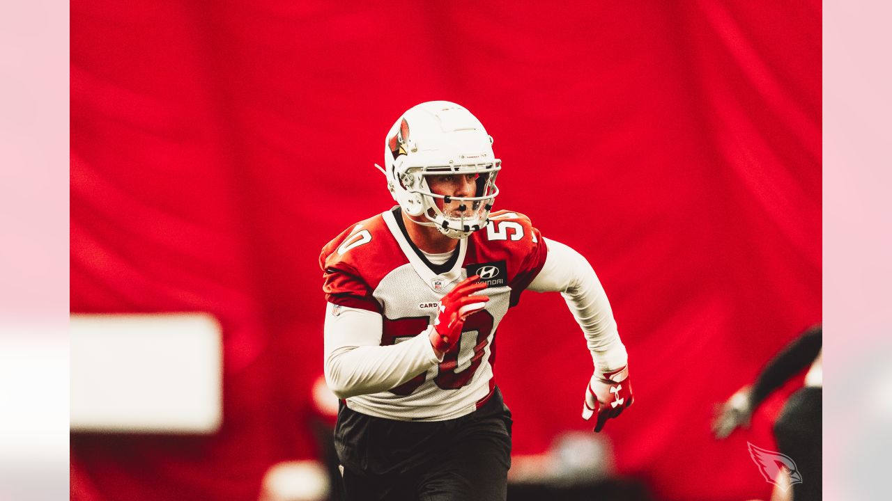 Cards' Fitzgerald: 'Don't have the urge to play' football National News -  Bally Sports