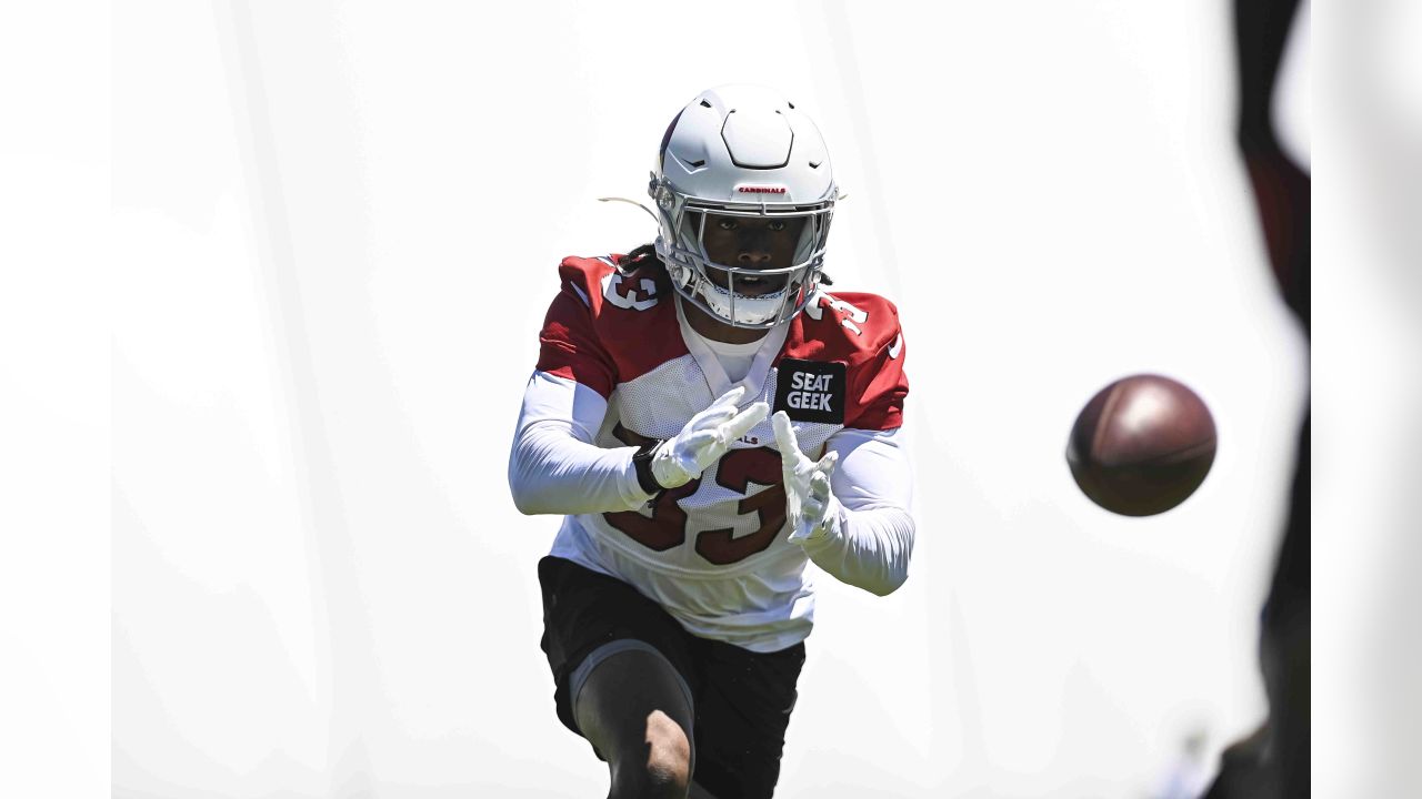 Players From Delaware, South Jersey Star On Cardinals'