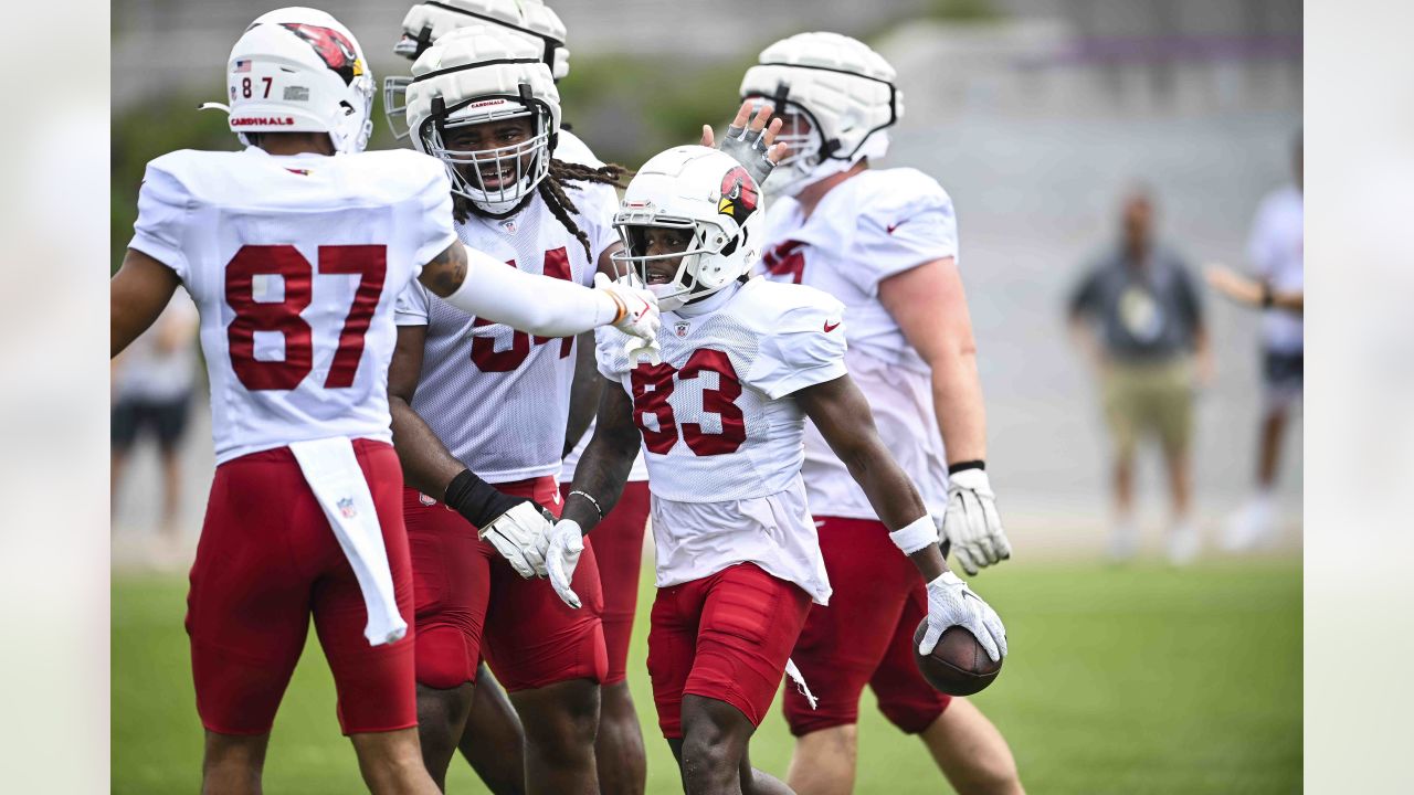 Arizona Cardinals' 'youth' will keep team from Super Bowl, ESPN's