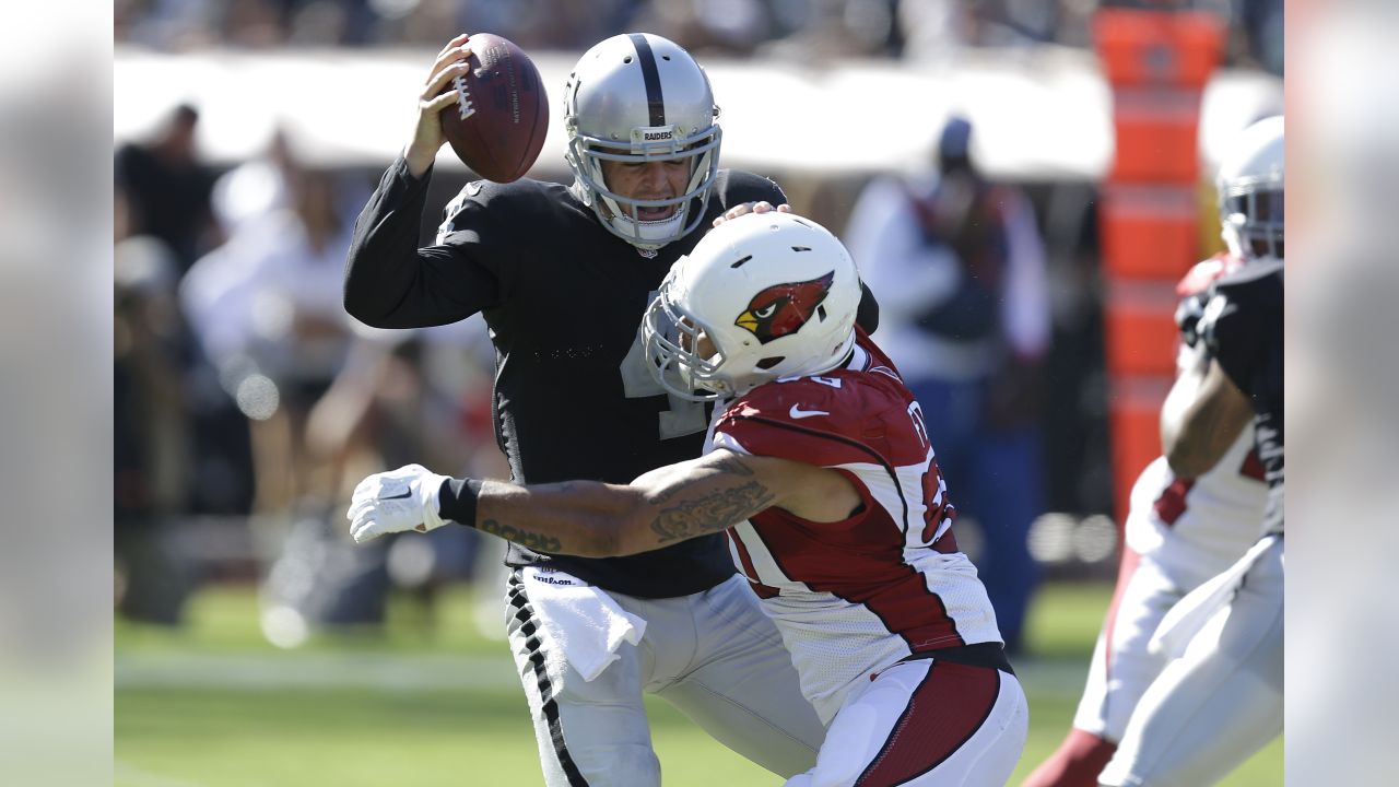 Cardinals WR Larry Fitzgerald returning for 16th season, Raiders/NFL