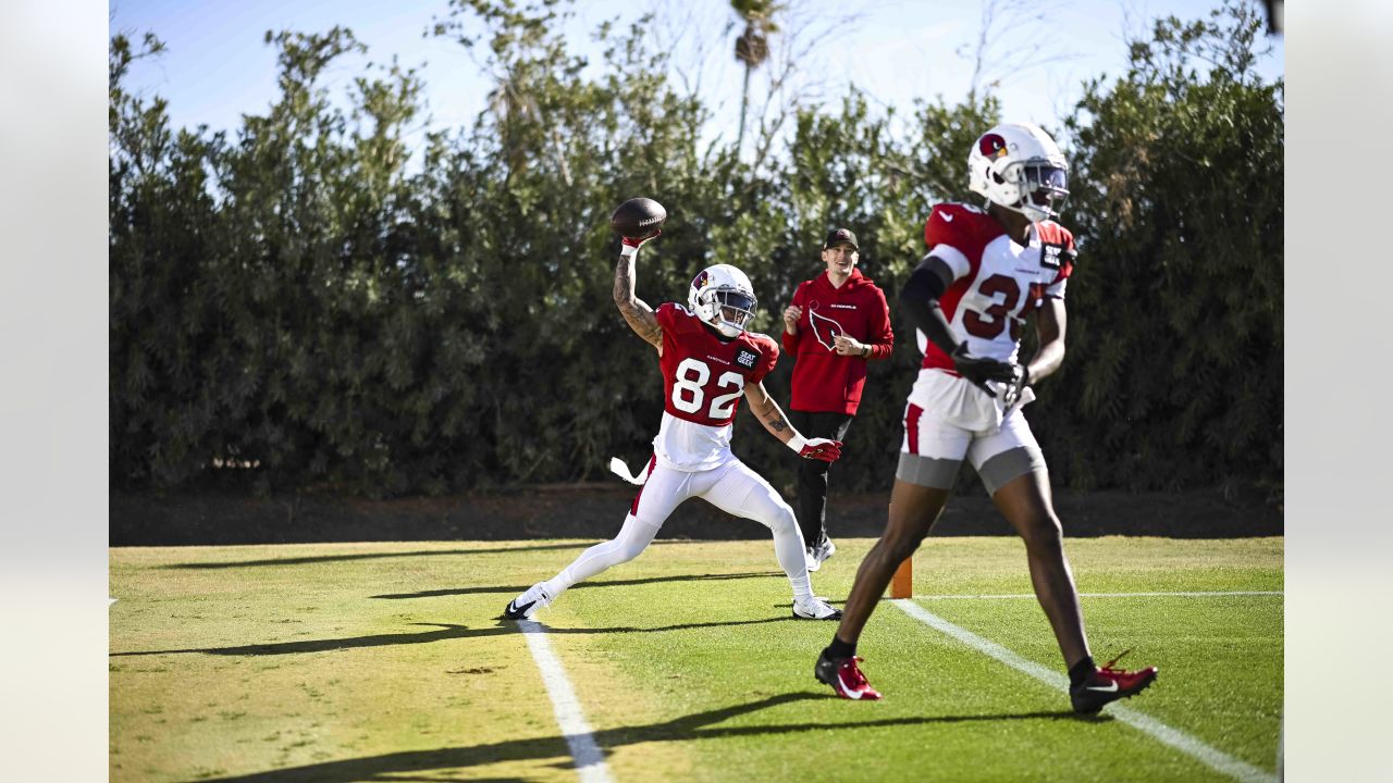 Zach Ertz Named Arizona Cardinals' Walter Payton Man of the Year - Sports  Illustrated Arizona Cardinals News, Analysis and More