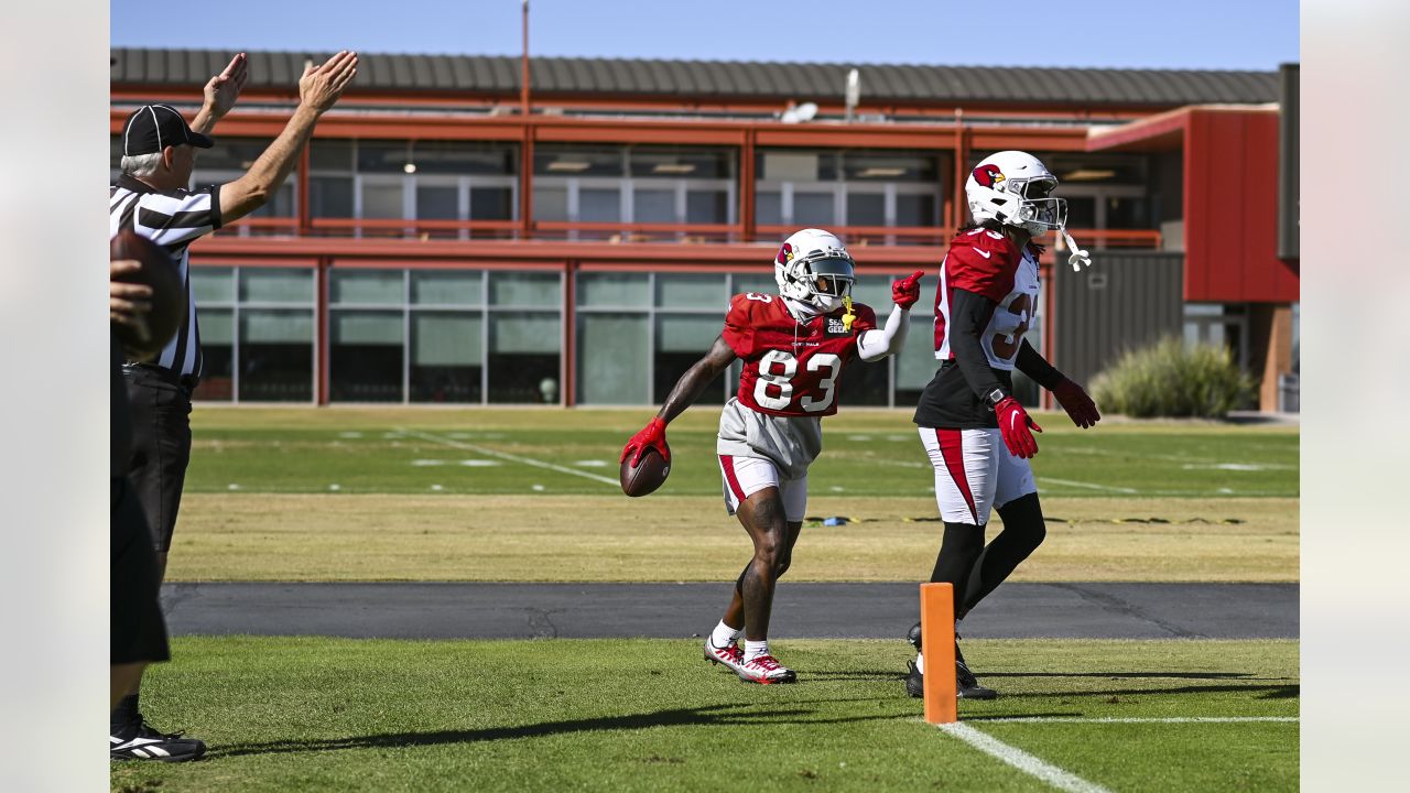 GAME PHOTOS: Week 10 - Cardinals At Rams