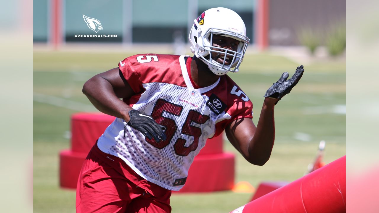 Arizona Cardinals like promise of young defensive linemen