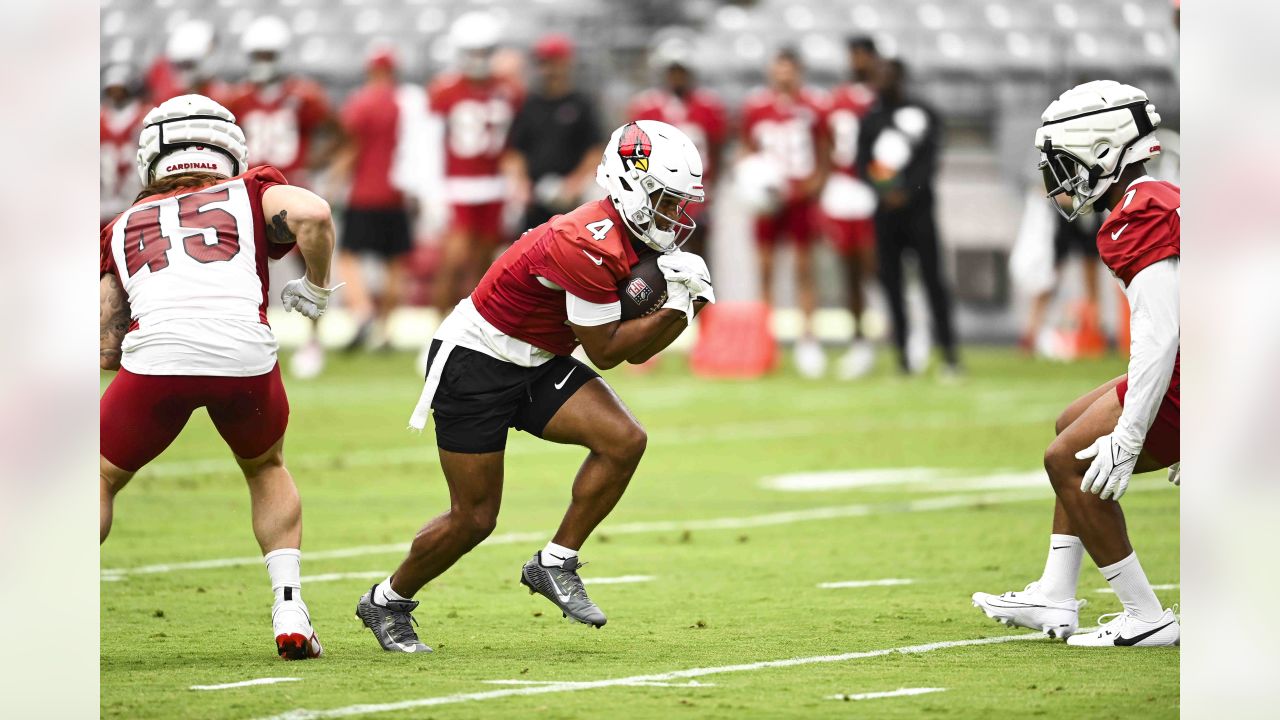 An Arizona Cardinals fan waves a flag during NFL football training camp  Saturday, July 29, 2023, in Glendale, Ariz. (AP Photo/Ross D. Franklin  Stock Photo - Alamy