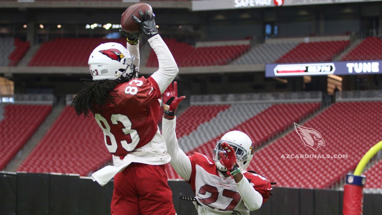 Cardinals cut wide receivers Greg Little, Brice Butler in cuts to 53 - NBC  Sports