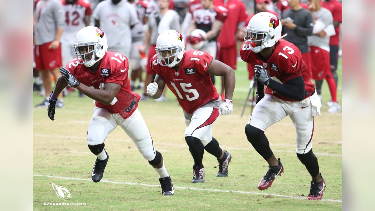 Byron Leftwich will call plays for Cardinals in preseason game vs. Raiders  