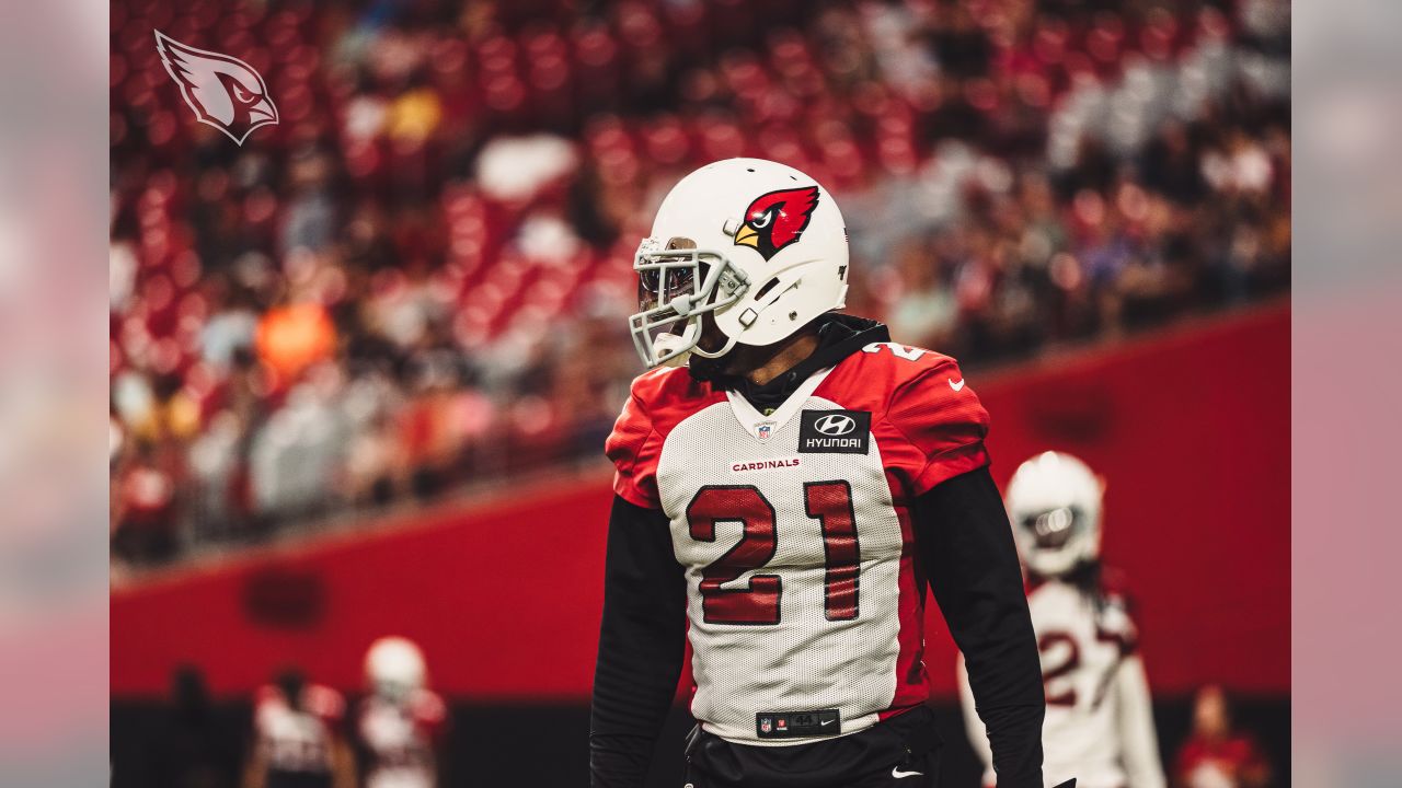 Arizona Cardinals wide receiver KeeSean Johnson (19) runs up field during  the first half of an