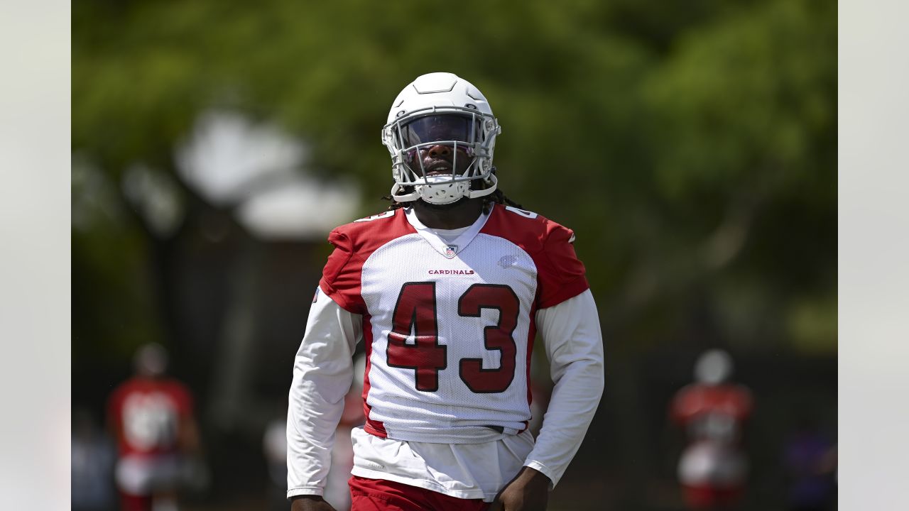 Cardinals Position Overview 2022: Running Back