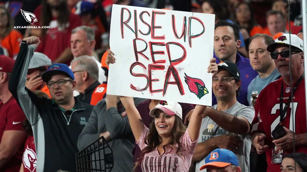 Vintage Arizona Cardinals Shirt Rise Up Red Sea Arizona Cardinals