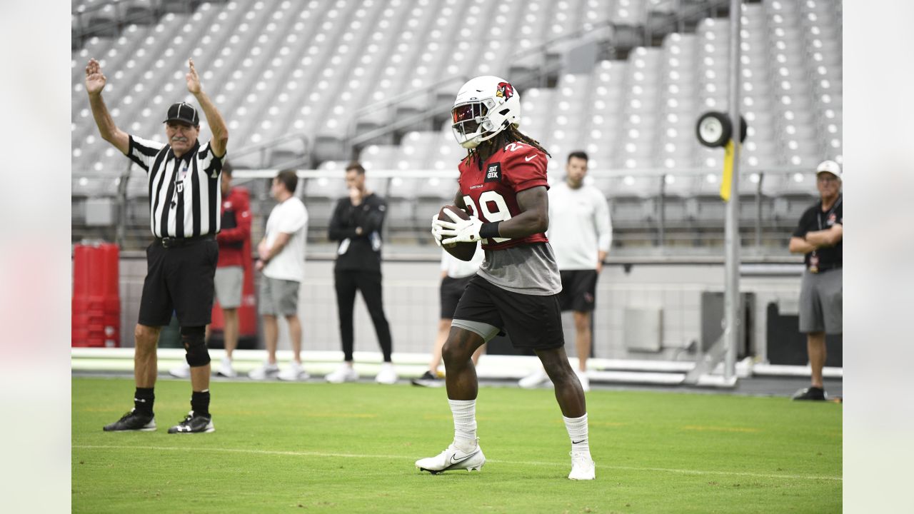 PHOTOS: Cardinals Training Camp - August 1