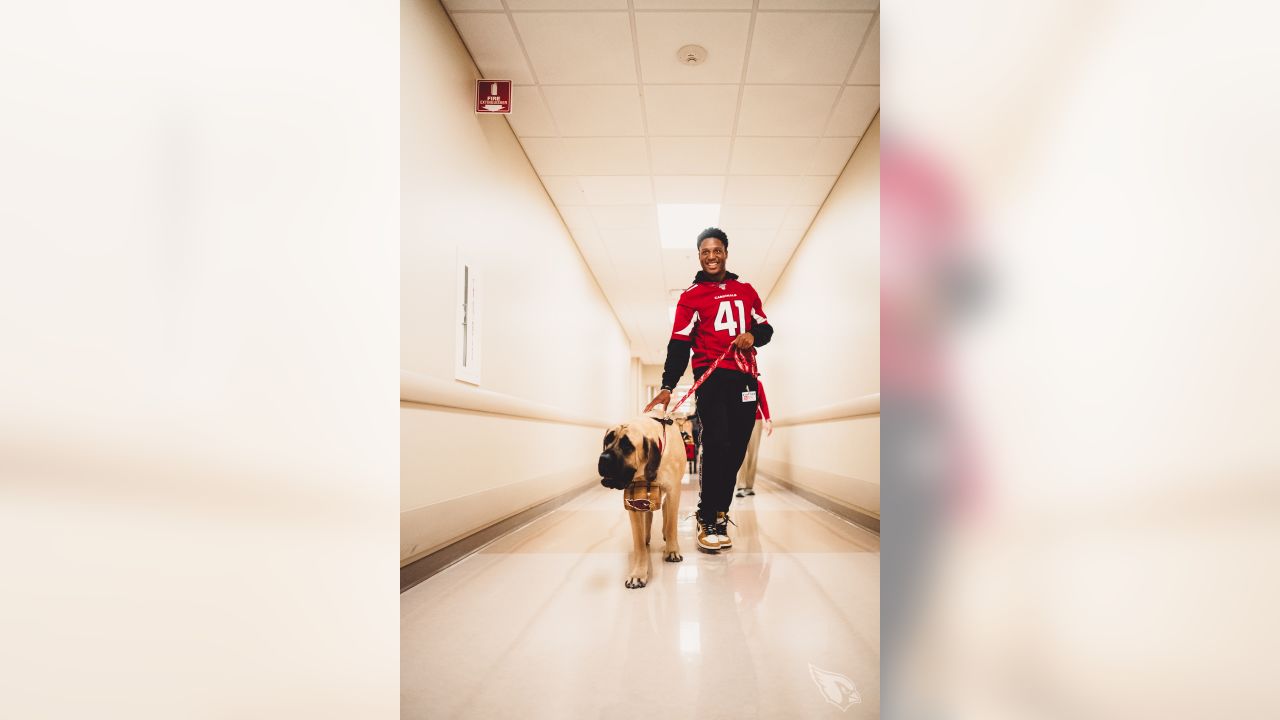 larry fitzgerald dog jersey