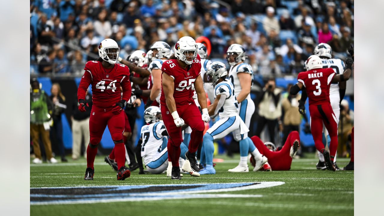 Arizona Cardinals defense forces three turnovers and harrasses