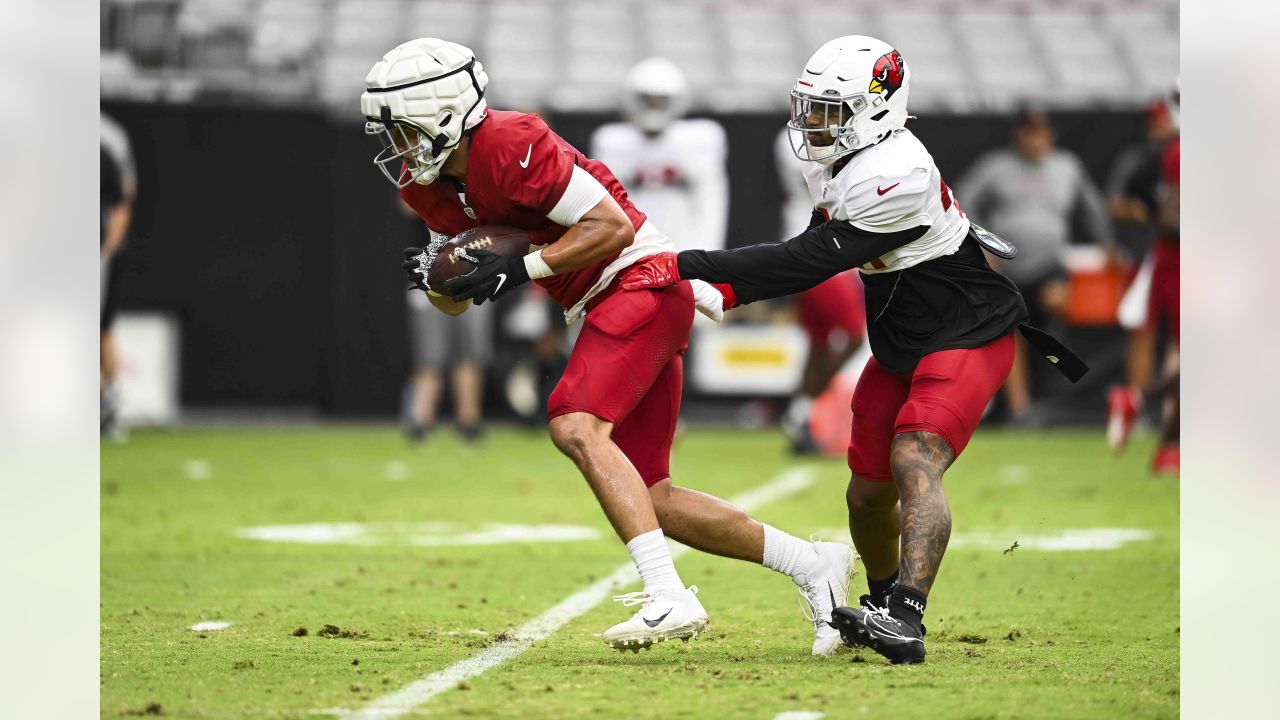 Dante Stills, Kyzir White among early standouts to Arizona Cardinals DC