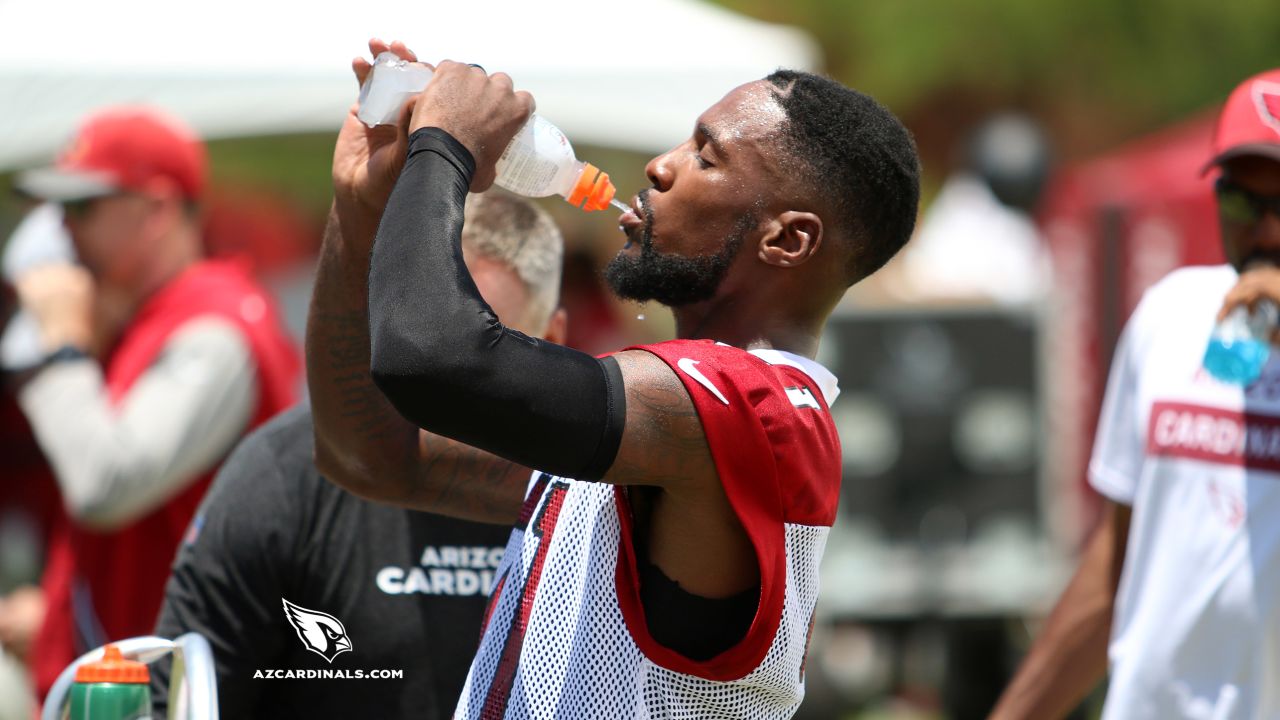 CB Patrick Peterson moving on from Cardinals to Vikings on one-year, $10M  deal