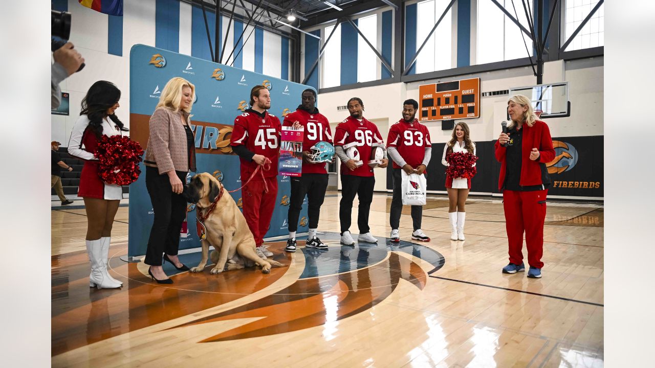 Arizona Cardinals gift Super Bowl tickets to young player with