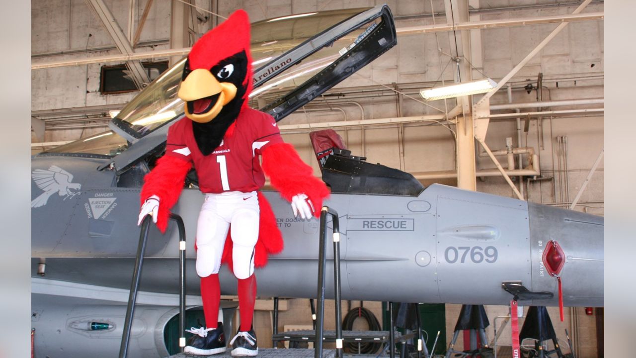 AZ Cardinals visit Luke in salute to service > Luke Air Force Base >  Article Display