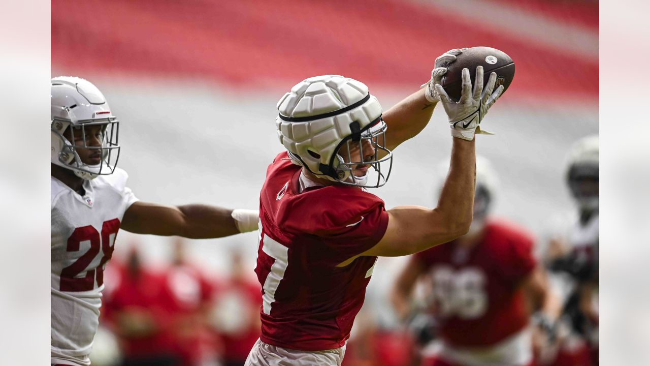 Cardinals handed huge Marquise Brown training camp update