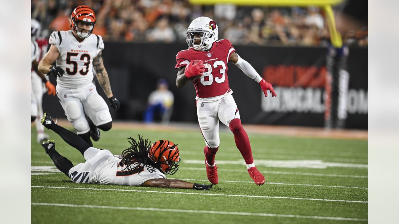 Arizona Cardinals defensive tackle Leki Fotu (95) looks up at a replay  during an NFL football game against the Cincinnati Bengals, Friday, Aug.  12, 2022, in Cincinnati. (AP Photo/Zach Bolinger Stock Photo - Alamy