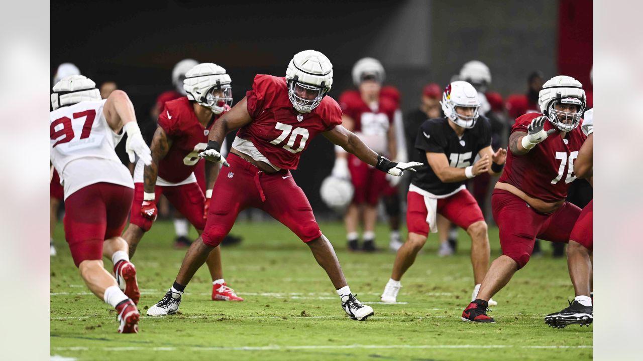 An Arizona Cardinals fan waves a flag during NFL football training camp  Saturday, July 29, 2023, in Glendale, Ariz. (AP Photo/Ross D. Franklin  Stock Photo - Alamy