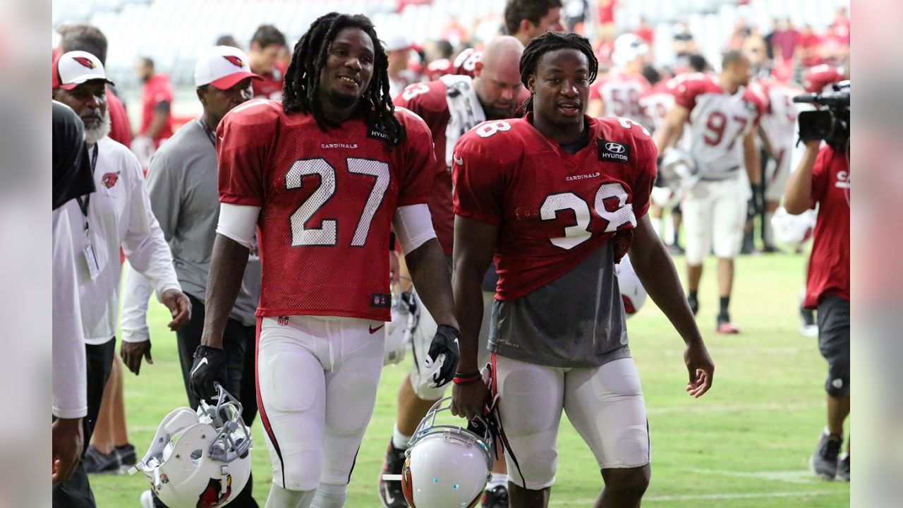 Cardinals' Andre Ellington, Mike Iupati progressing