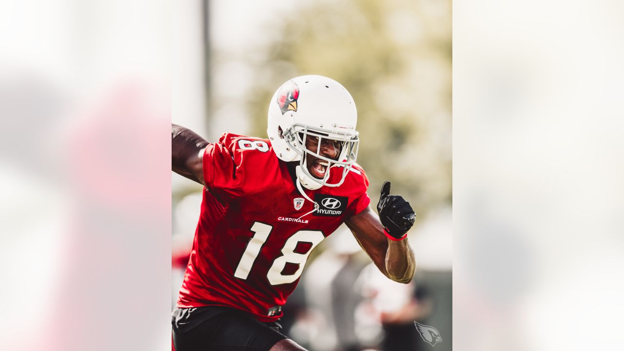 Arizona Cardinals WR Andy Isabella done beating himself up