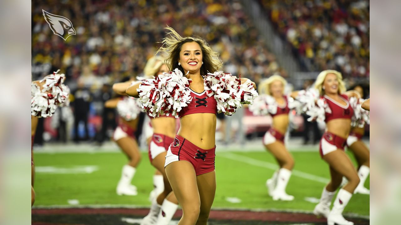 2,115 Arizona Cardinals Cheerleaders Stock Photos, High-Res