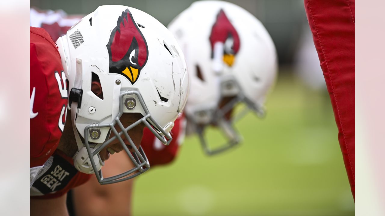 Defensive end JJ Watt looks good in his new Cardinals gear