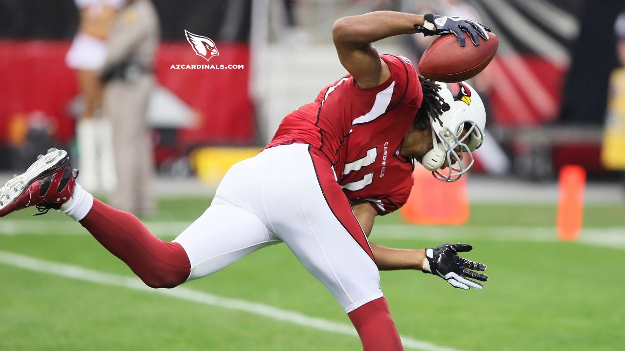 Bertrand Berry 2008 NFC Champions Arizona Cardinals 8X10 Photo