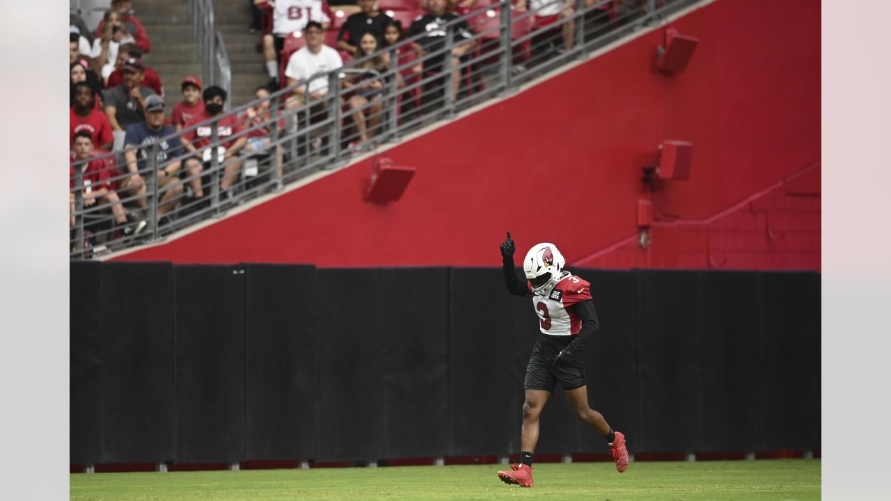 PHOTOS: Cardinals Training Camp - August 1