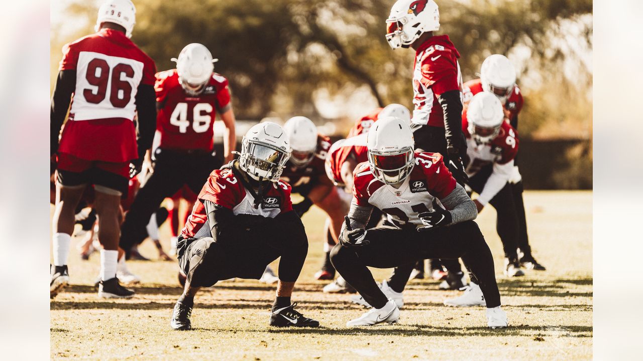 Arizona Cardinals superfan creates Larry Fitzgerald Christmas song