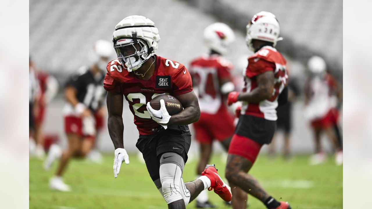 Arizona Cardinals: Final 2019 running back grade