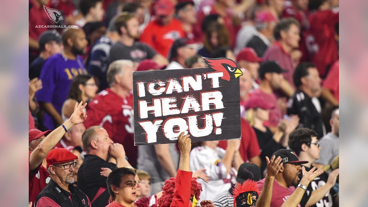 New England Patriots vs. Arizona Cardinals . Fans support on NFL Game.  Silhouette of supporters, big screen with two rivals in background Stock  Photo - Alamy